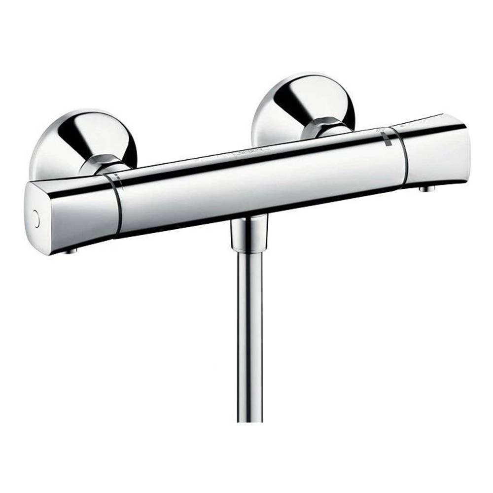 Термостат Hansgrohe Ecostat universal 13122000 для душа