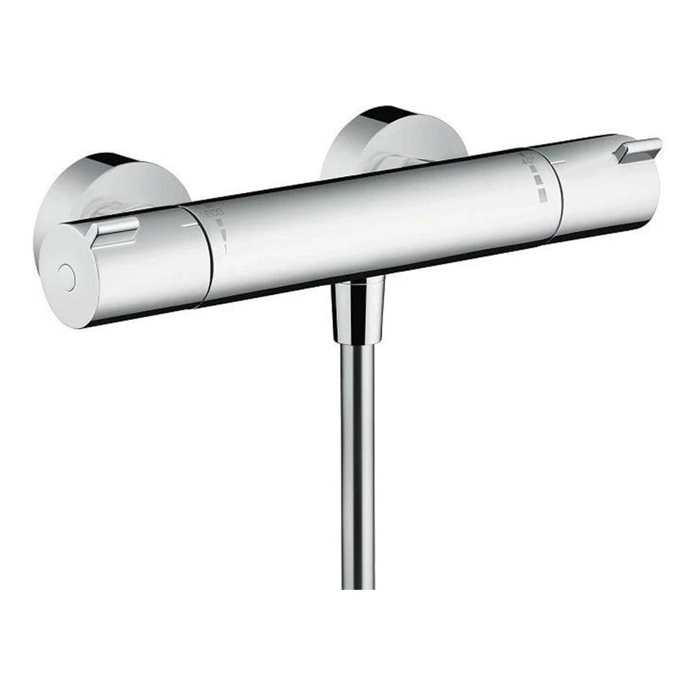 Термостат для душа Hansgrohe Ecostat 1001 CL 13211000