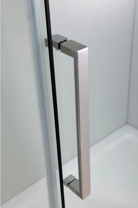 Душевая дверь в нишу Black&White S218-1000 изображение